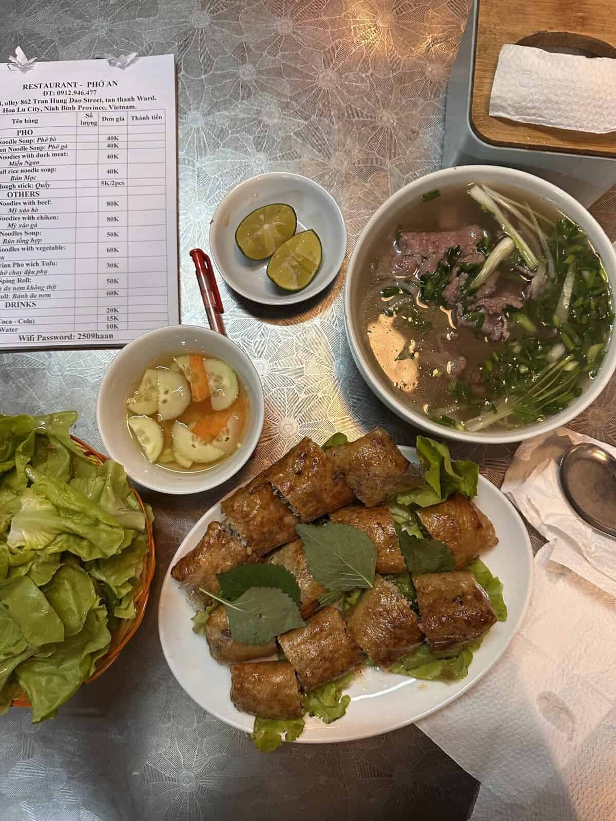 A view of fried spring rolls and a bowl of pho.