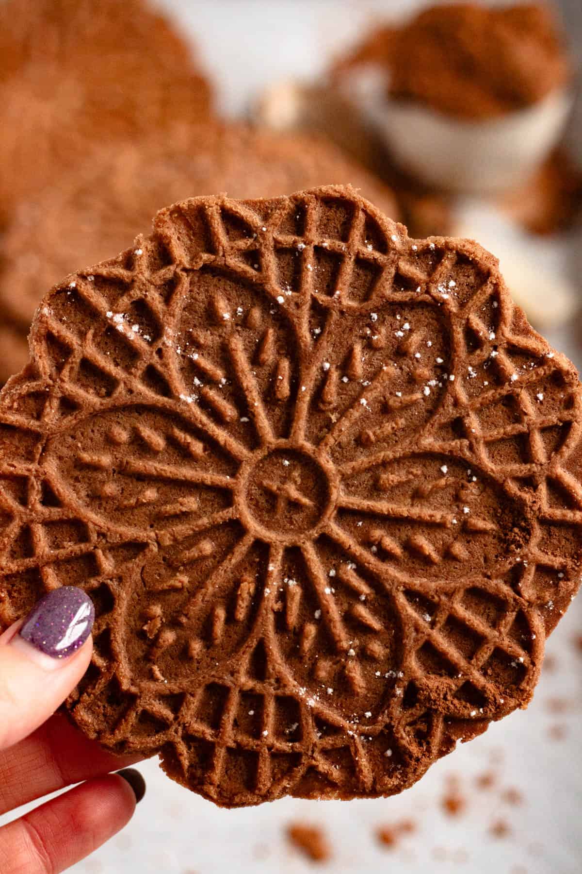 Hand holding a thin Chocolate Pizzelle.