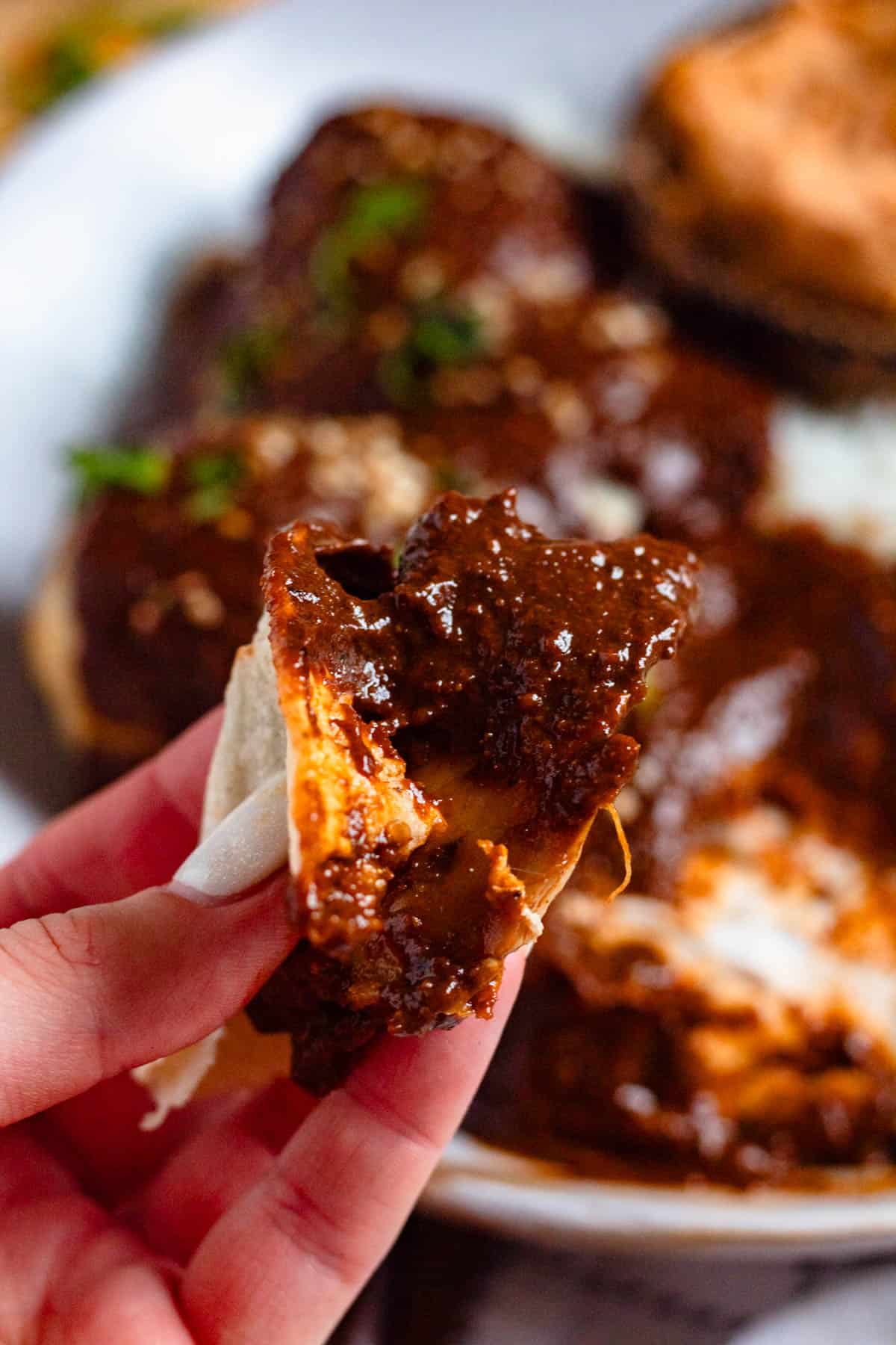 Close-up of a tortilla bite dipped in rich mole poblano sauce, held in hand.