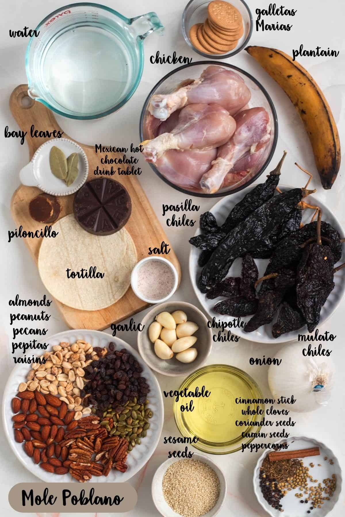 Ingredient shot of ingredients to make Mole Poblano.