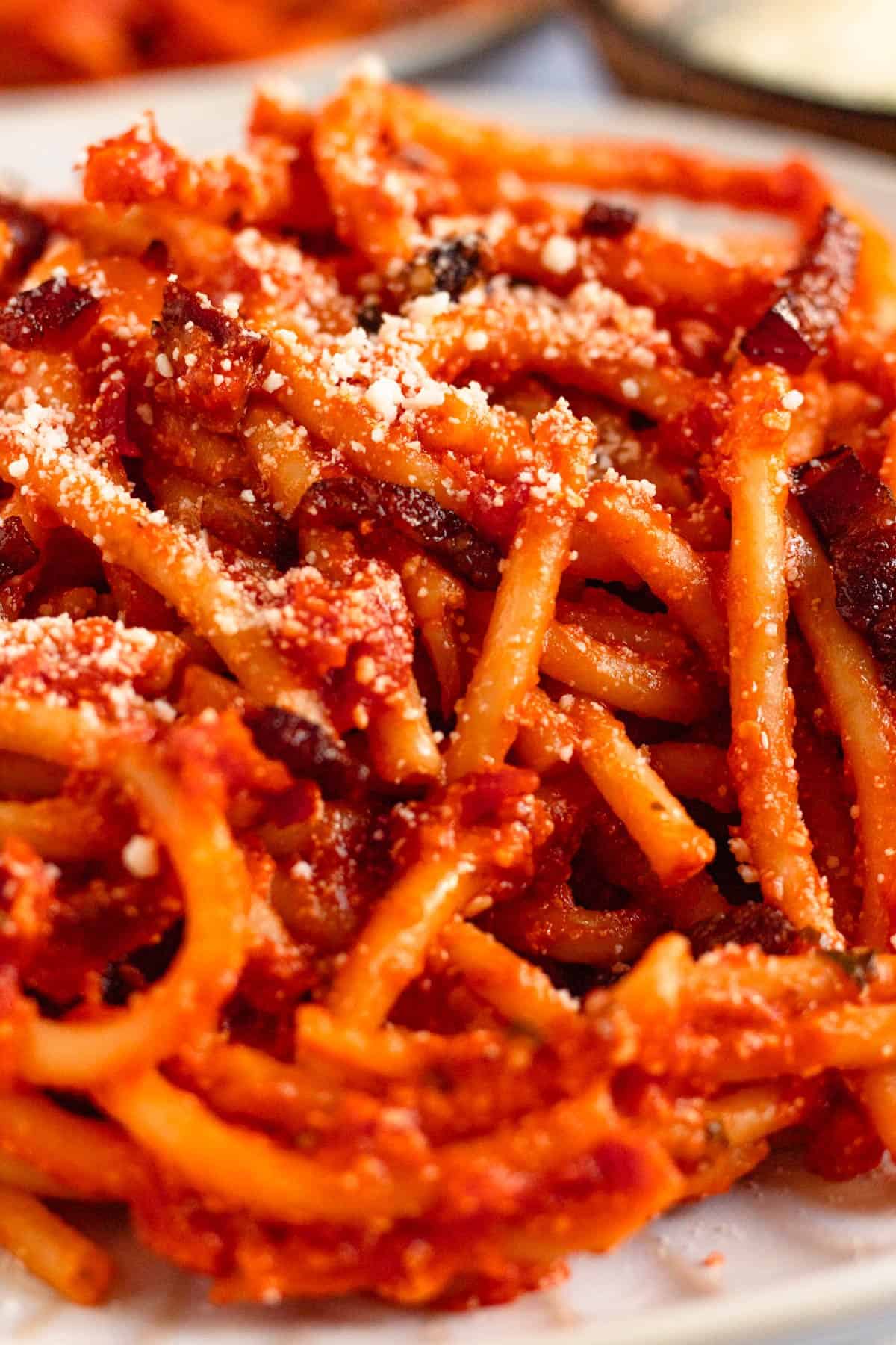 Bucatini all’Amatriciana with crispy guanciale and Pecorino Romano cheese.